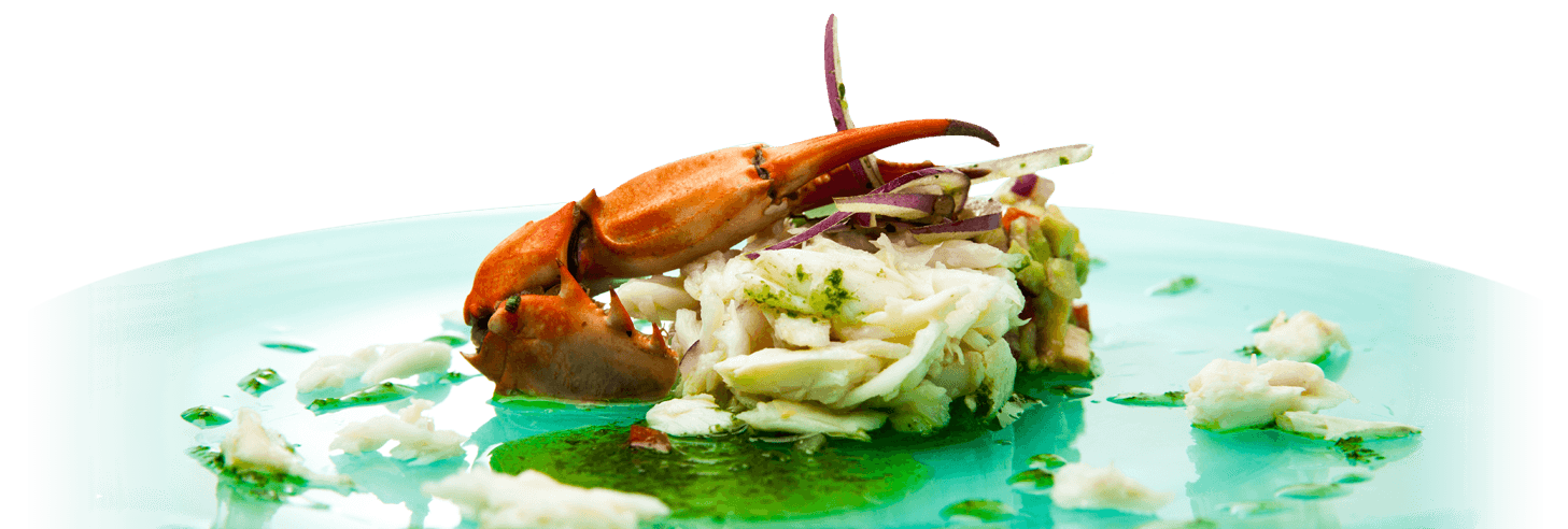 Mississippi Seafood Trail Crabs, Fish, Oysters, and Shrimp MHRA Food Plate